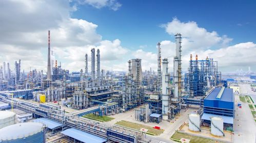 青島峰會特別報道 民營經濟的“濱州闖勁”與“常德智慧”